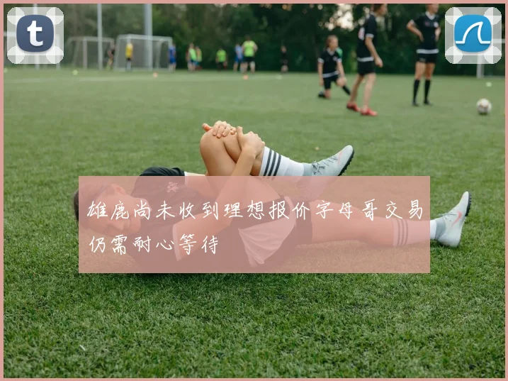 雄鹿尚未收到理想报价字母哥交易仍需耐心等待