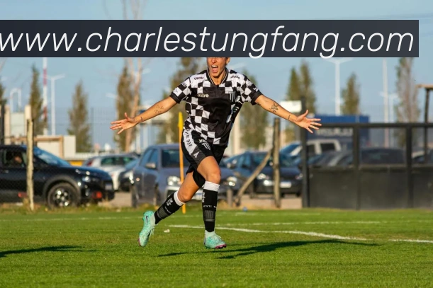 互动解说服务
